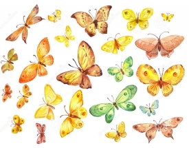 Farfalle